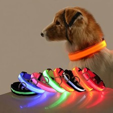 LED Dog Collar Light Up Nylon Night Safety Flashing Glow In The Dark Luminous Pe