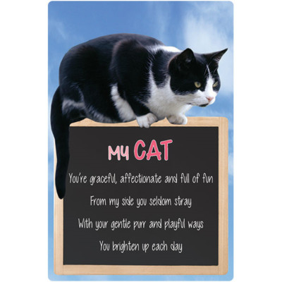 Meine Katze Schild CATS Brighten up the day Zitat Wandbehang Katze Zitat Spruch Haustier