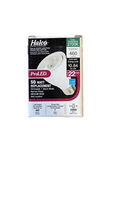  (AN) Halco 82000 PAR20 NFL 7 W LED 2700K 25° Narrow Flood E26 Dimmable Wet Rat