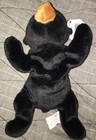 Bild 8 von 8