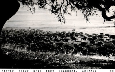 Fort Huachuca Arizona  Military Base Aerial View RPPC c1950 Postcard M1
