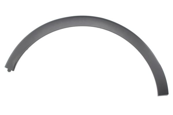 Right Rear BLIC 5703-04-6009598P Trim/Protection Strip, wing for RENAULT