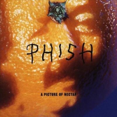 PHISH A PICTURE OF NECTAR (2 LP) (GRAPE APPLE PIE VINYL) NEW VINYL RECORD