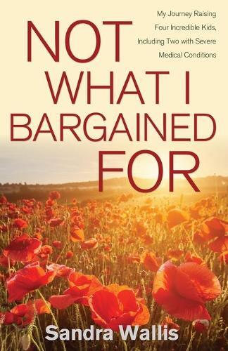 Thumbnail - Sandra Wallis Not What I Bargained For (taschenbuch) (us Import)