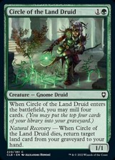 MTG Baldur's Gate *FOIL* C Circle of the Land Druid #220