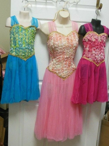 Ribbon Rosette Chiffon Skirted Lyrical Ballet costume 3 colors ch/ladies - Picture 2 of 15