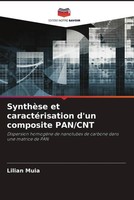 Lilian Muia | SynthèSe Et CaractéRisation D'un Composite Pan/Cnt | Taschenbuch