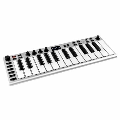 ESI XSynth Virtual Analogue Subtractive Synthesizer