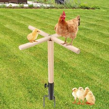 Chicken Perch Toys for Coop, Chick Perch Stand Wooden with Metal Ground Plug ...