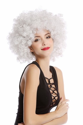 Parrucca Afro Parrucca Afro Anni 70 Festa Funky Disco Foxy Grigia PW0011-P309 - Foto 4 di 4