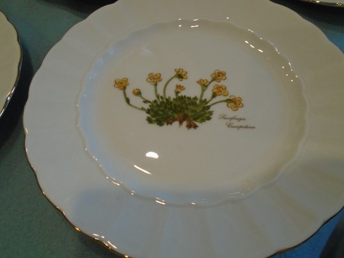 Vintage Eschenbach German Porcelain Set Six Luncheon Plates and Pot Flowers - Picture 5 of 11