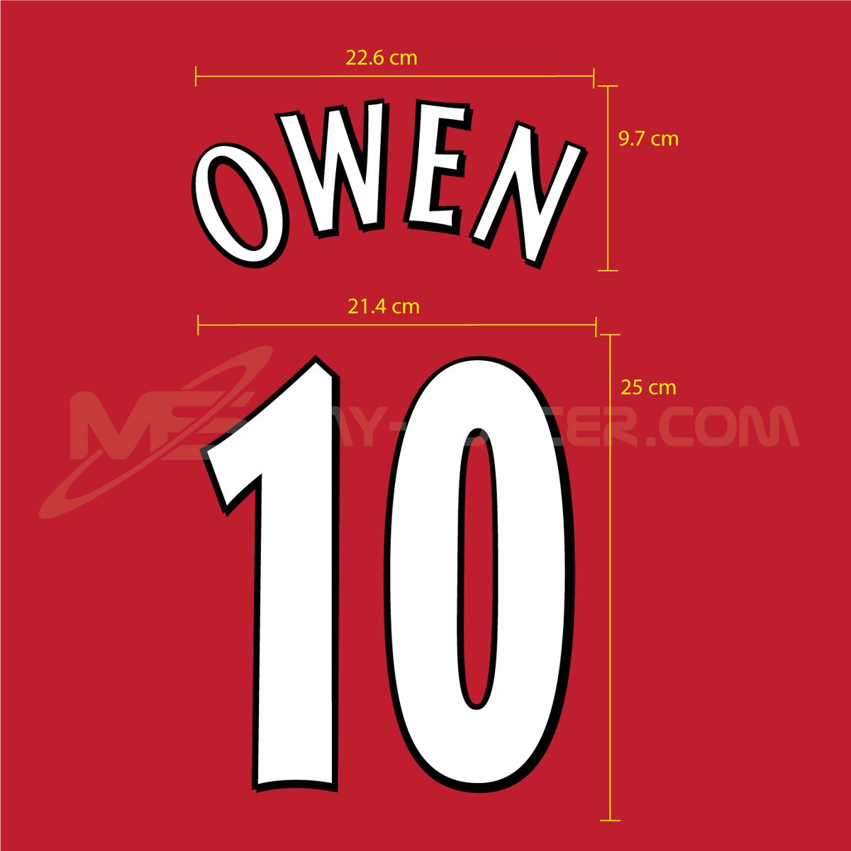 リヴァプール FC 02/03 CL ホーム ユニフォーム ビンテージ タグ付き Liverpool FC Home UCL 2001-02 FLOCK VELVET NAME NUMBER PRINT