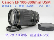 Canon EF 100-300mm F4.5-5.6 USM Telephoto Lens for EOS Cameras