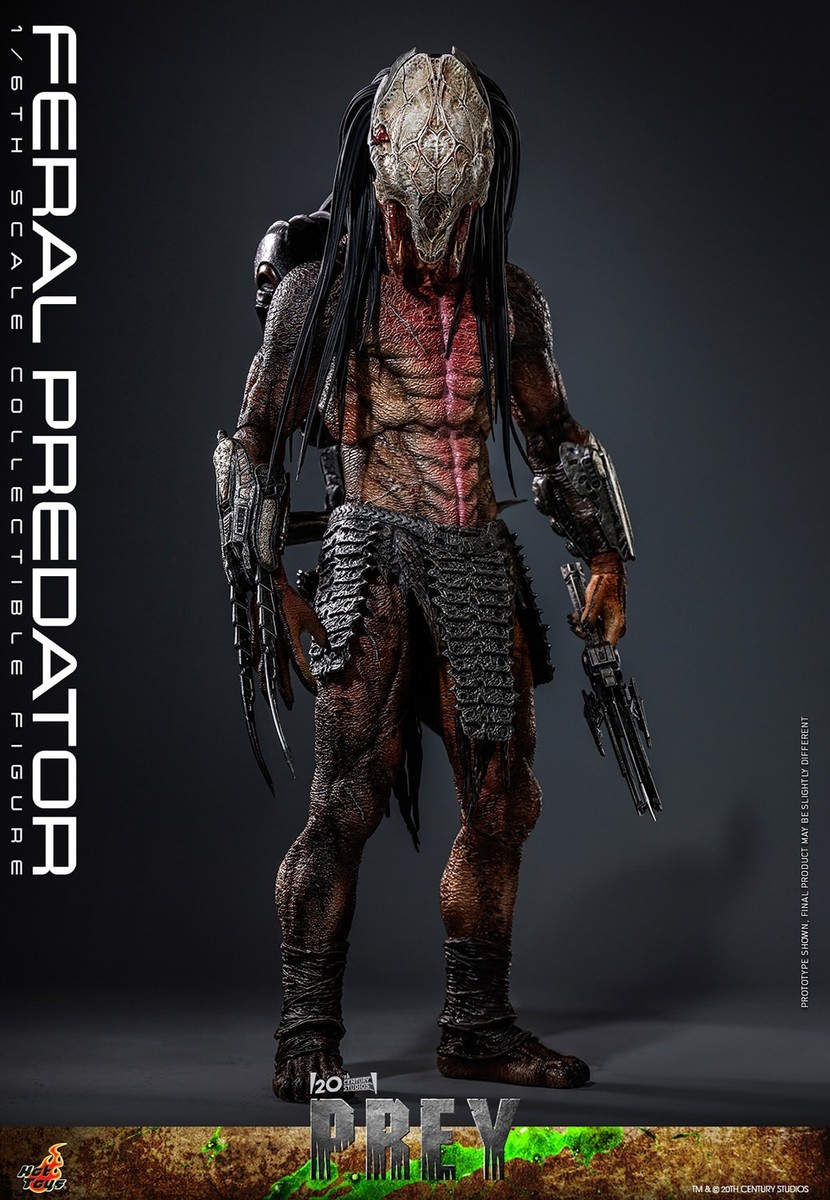 SF・ファンタジー・ホラー Hot Toys PREY Feral Predator 1/6 Scale Prey Movie Masterpiece Feral Predator 1/6 Collectible 1/6 Scale