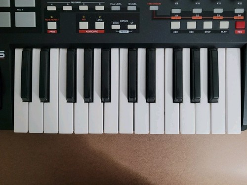 Akai Professional MPK 25 USB/MIDI Performance Keyboard - Picture 8 of 23
