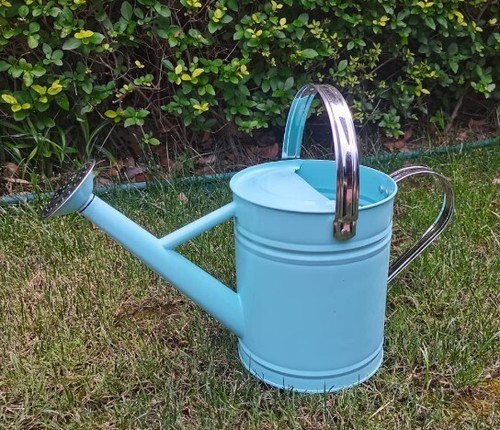 Metal Watering Can, 1 Gallon, Stainless Steel, Sky Blue