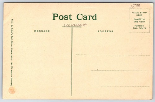 Alpena Michigan ~ Ayuntamiento de cerca ~ Criadero de peces de Estados Unidos ~ Coloreado a mano ~ Postal c1910 - Imagen 2 de 2