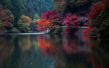 Landscape nature fall water trees japan Custom Gaming Mat Desk