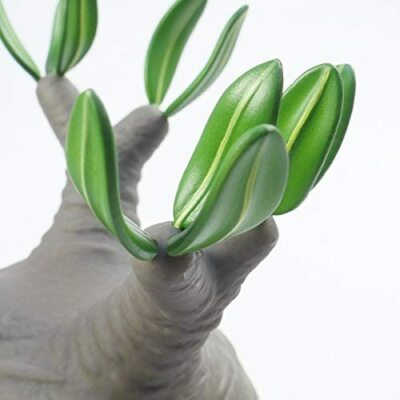 MEDICOM TOY × BOTANIZE VCD Pachypodium rosulatum var. Frist