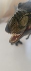 Picture 5 of 8
