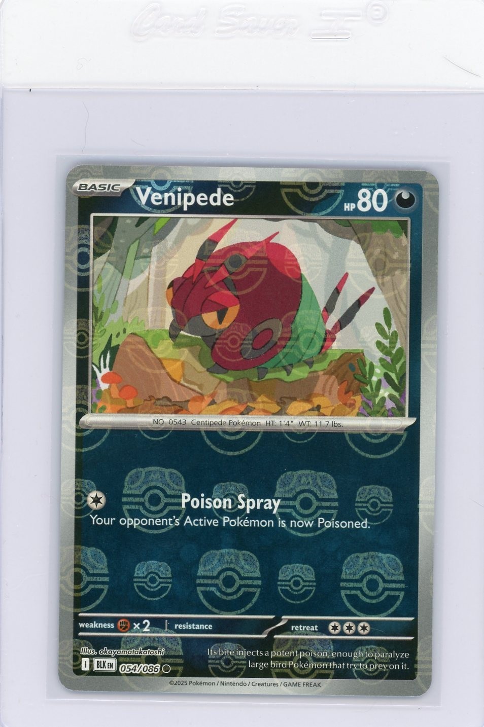 Venipede 054/086 NM – Master Ball Reverse Holo – 2025 TCG Pokémon Black Bolt