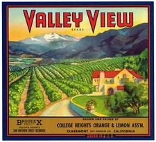 ORIGINAL ORANGE CRATE LABEL VALLEY VIEW CLAREMONT COLLEGE HEIGHT VINTAGE ORCHARD