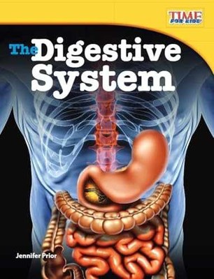 The Digestive System - Paperback, by Jennifer Prior - Very Good x