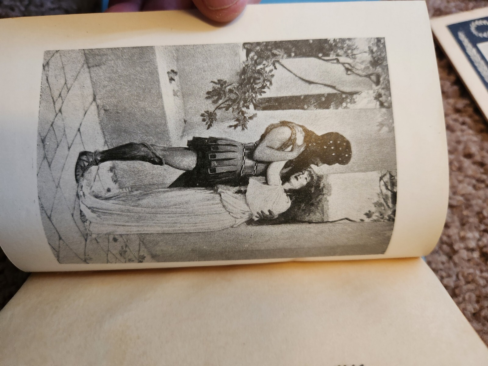 Picture 6 of 21