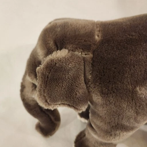 Ganz Webkinz Signature Endangered Asian Elephant Plush 8" Rare  No Code - Image 3 of 4