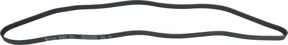 Serpentine Belt-ProTune Autopart Intl 1602-360310 | eBay