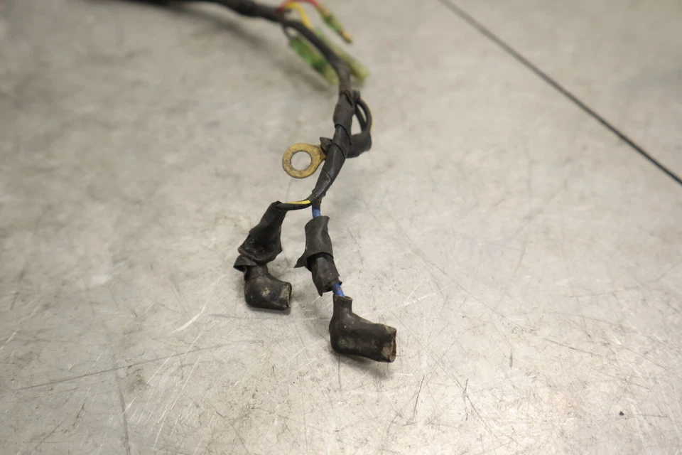 KAWASAKI KLX250 KLX250R KLX300 KLX300R FABRICANTE DE EQUIPOS ORIGINALES CABLEADO MOTOR ARNÉS DE CABLEADO Foto 3 de 4