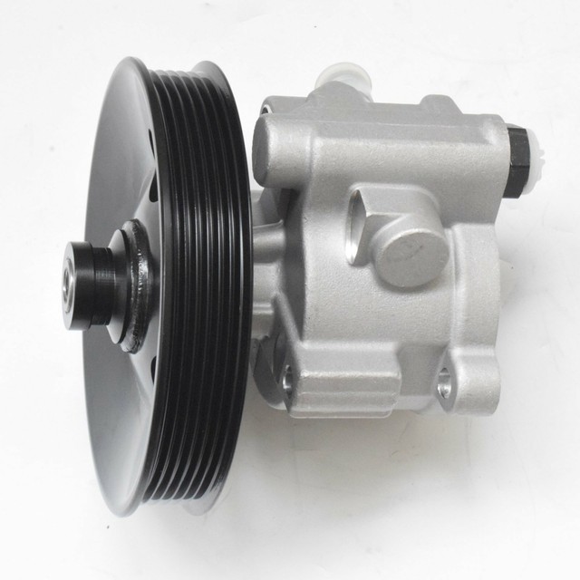 VT VX VU VY V8 Power Steering Pump & Pulley for Holden Commodore 5.7l