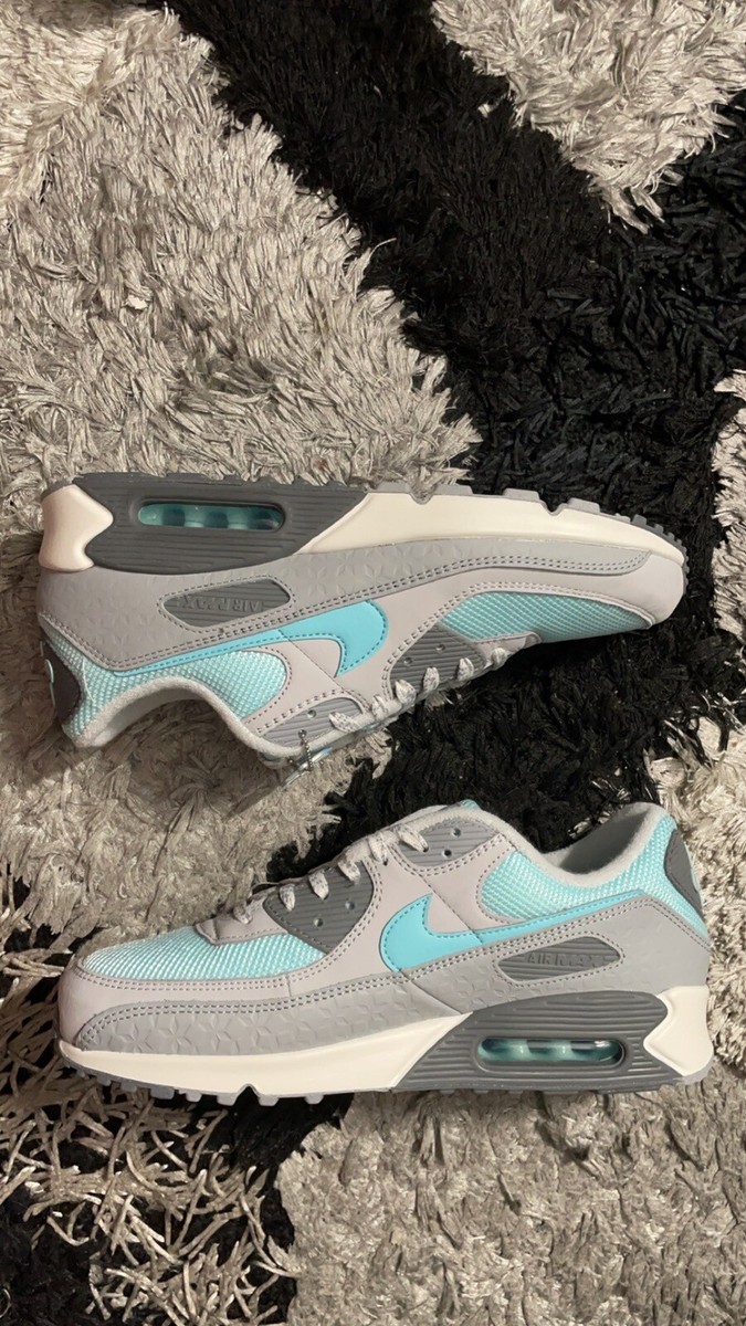 Nike Air Max 90 Snowflake Wolf Grey Copa Blue DQ0789-001 Men's