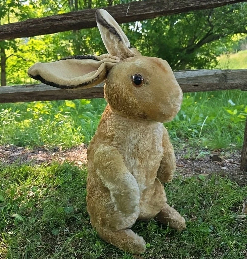 Steiff Rabbit In Steiff Stuffed Animals (1946-1969) for sale - eBay