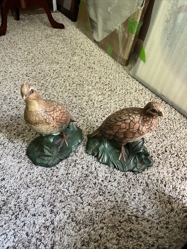Holland Mold Quails