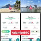 Pokémon Go Non Shiny Flamigo Background Cologne / Rio de Janeiro - Mini or Trade