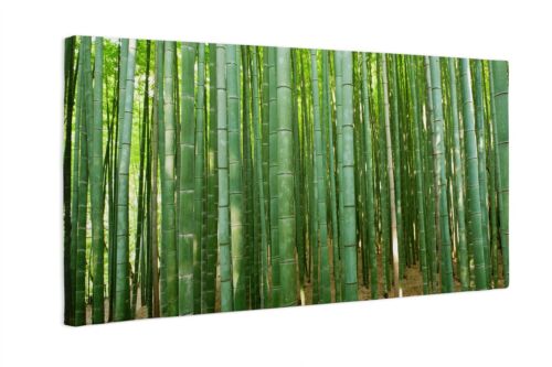 Leinwandbild Kunst-Druck Bamboo Forest China 100x50 cm - Bild 1 von 7