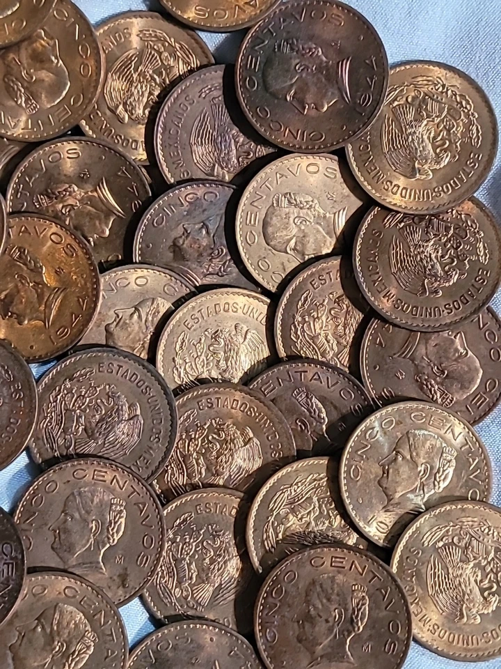 Mexico 5 Centavos Coin, 1944 Josefa Ortiz NGC MS 65 RD - Image 2 of 4