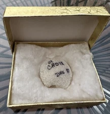 Vintage St. Croix Shell Found On Beach 1977 Seashell