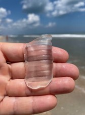 Natural Surf Tumbled Sea Glass Florida Beach Large Textured Genuine Clear Bottle
