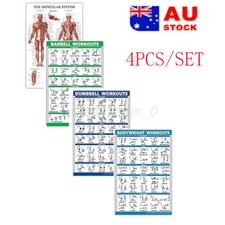 4PCS/SET NEW SALE DUMBEL+BARBERLL+Muscle+Bodyweight  GYM WORKOUT POSTERS Charts