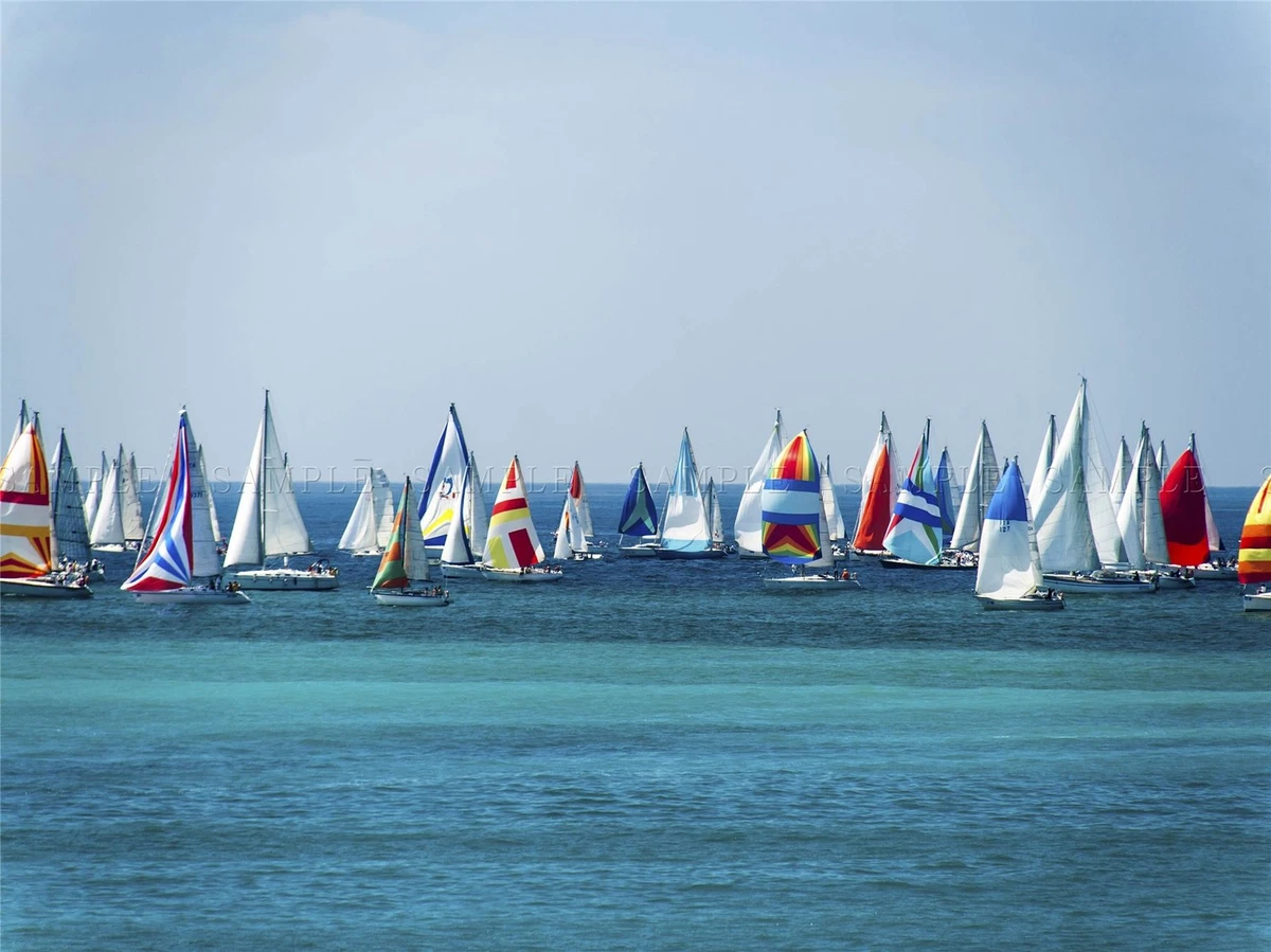 Ebay sailing boats deals
