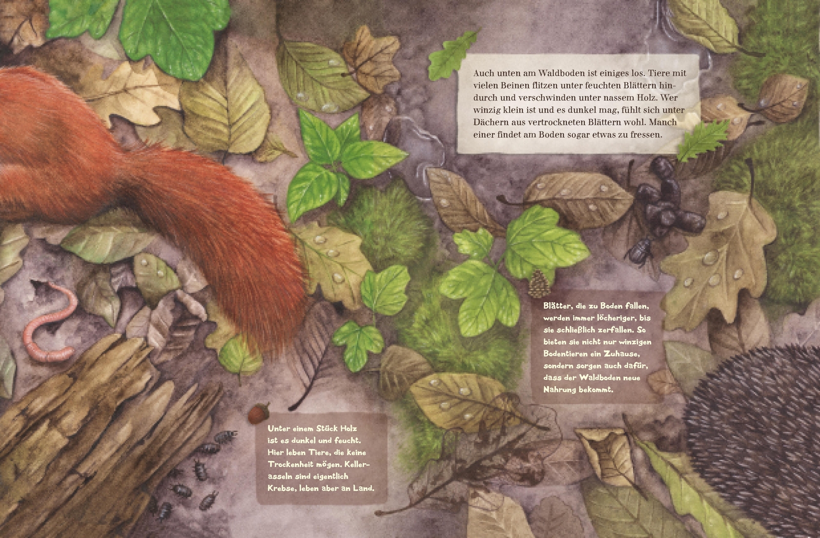 Thumbnail - Tag Und Nacht Wald Johanna Prinz