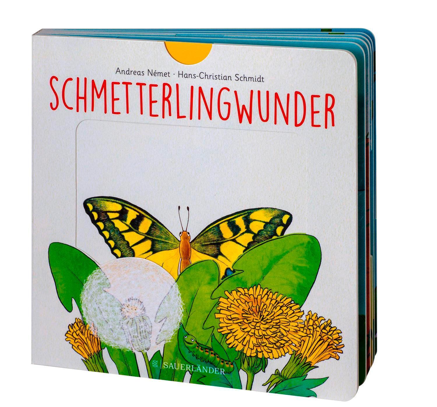 Thumbnail - Schmetterlingwunder | Ab 2 Jahren: Wie Wächst Ein Schmetterling? Zum