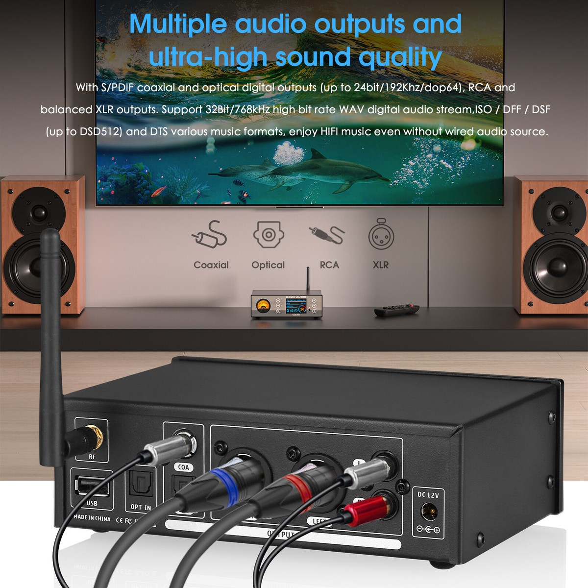 Douk Audio C100 PRO Hi-res ESS9038 Preamp Bluetooth Streamer