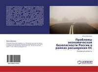 Juliq Zhilkina | Problemy äKonomicheskoj Bezopasnosti Rossii W Ramkah...