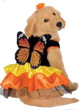 Rubies Monarch Butterfly Pet Costume for Dogs or Cats, XL