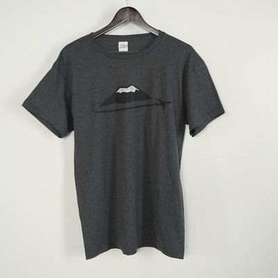Haines Men s M. Gray Mountain & Airplane Graphic Print Knit Short Sleeve T-Shirt