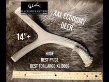 XXL Deer Antler Dog Chew - Economy