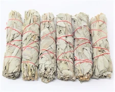 White Sage Smudge Bundles - 6 Pack Bulk Lot + Directions (4" White Sage Sticks)